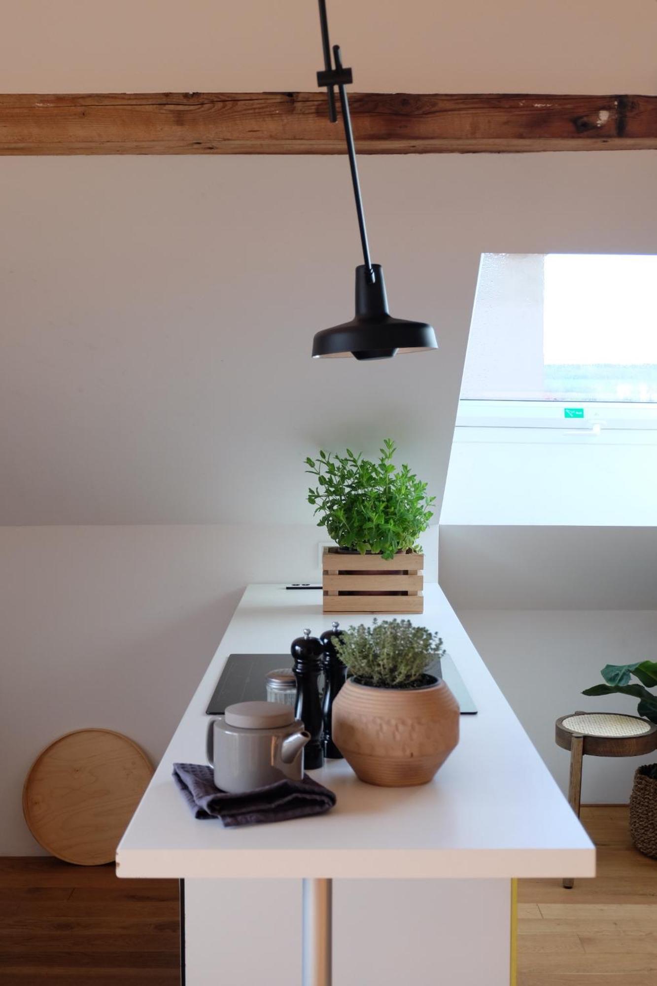 Design Apartments "Hier War Goethe Nie" Weimar  Dış mekan fotoğraf